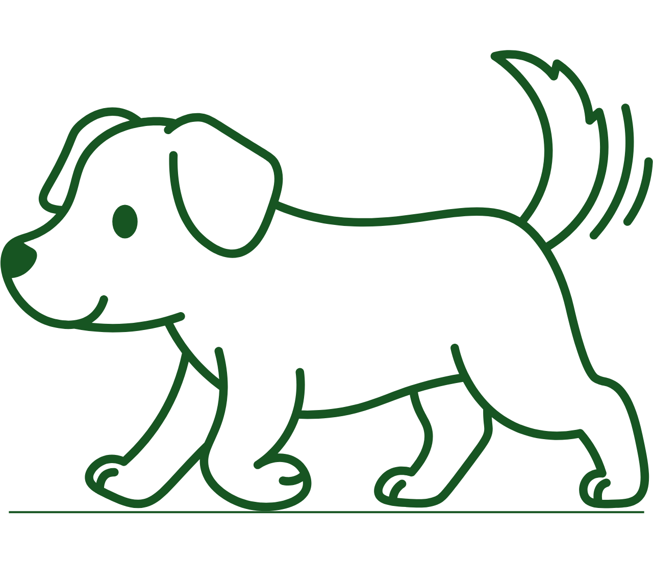 犬同伴での利用可能
